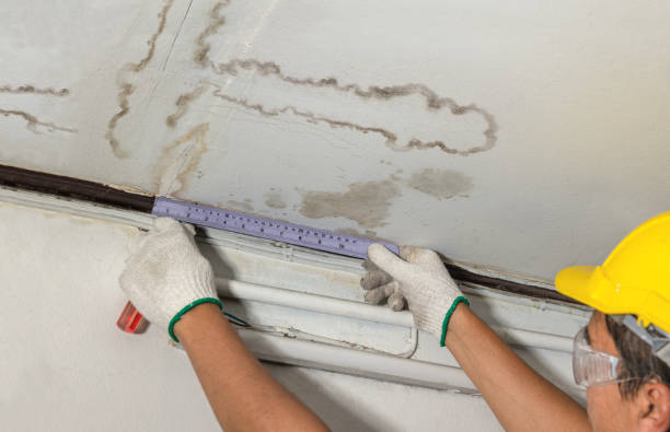 Reliable Mold Remediation contractor in Olivet, SD by Water Damage Irwin